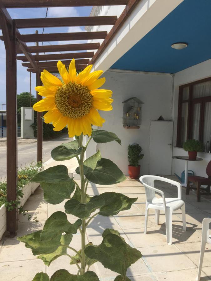 באטסי Villa Bonatsa Andros Home מראה חיצוני תמונה